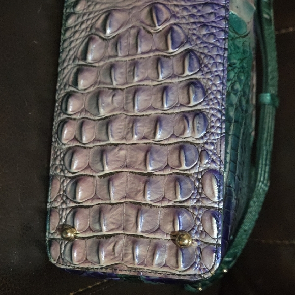 Brahmin Elaine Enchant Ombre - Picture 4 of 8